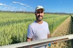 Roots may unlock improved durum resilience