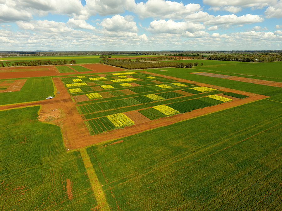 condobolin farming system trial site