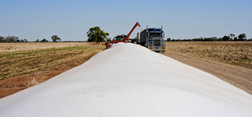 silo bag