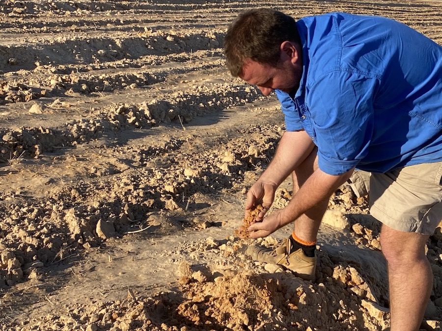 Rob examines soil in his paddock. 