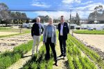 New farming systems project for WA grain growers