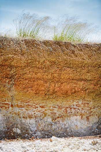 Soil Layer