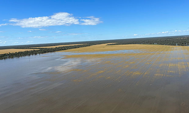 Walgett Flood aerial