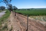 Researcher encourages pre-sowing fenceline sprays