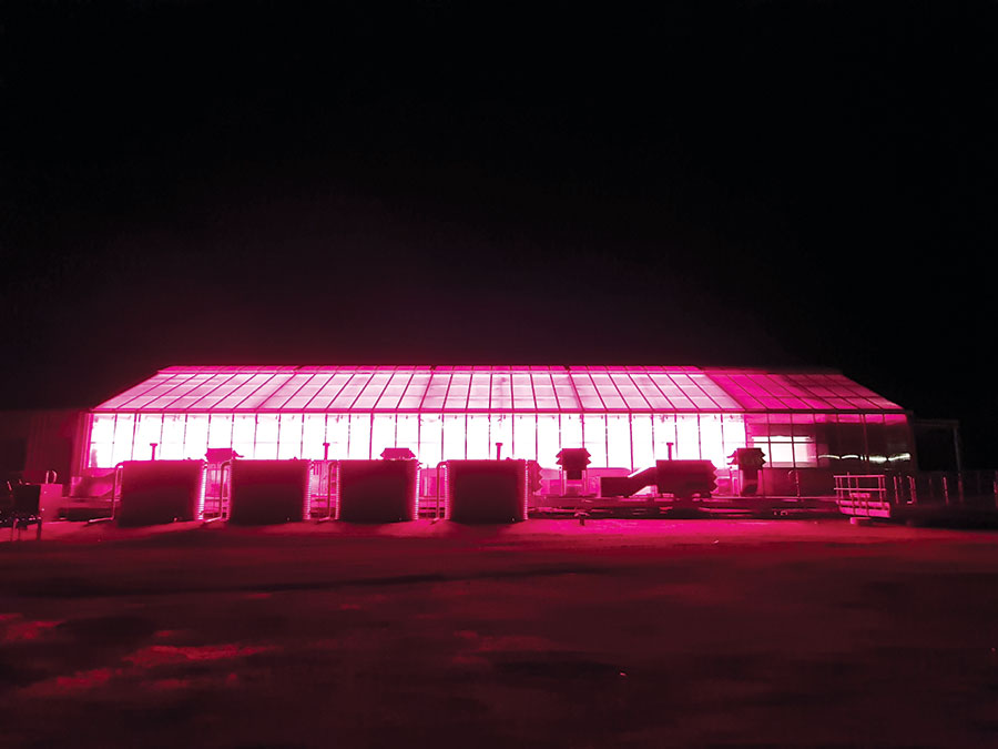 The new Post Entry Quarantine facility at the Australian Grains Genebank under pink lights. 