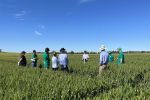 Great southern region on the agenda for  GRDC spring panel tour