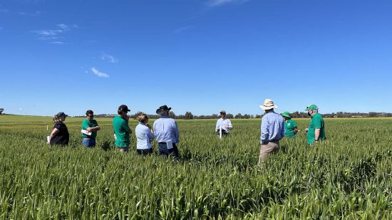 Great southern region on the agenda for GRDC spring panel tour