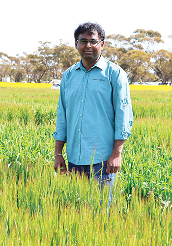 man in blue shirt standing in crop