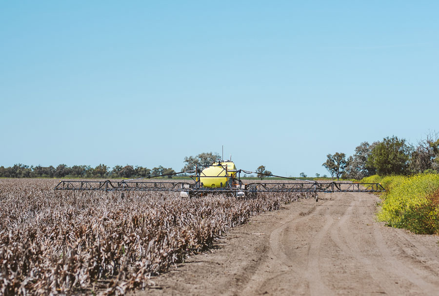 landcape with yellow robot spraying brown crop