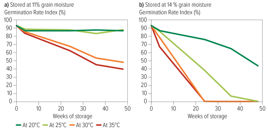 Figure 1: Germination percentage declined sharply for all seven wheat varieties within 24 weeks when temperatures exceeded 30°C under low grain moisture conditions (11%). At higher grain moisture levels (14%), germination was adversely affected across all temperature ranges.
