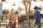 Business structure helps map the succession path