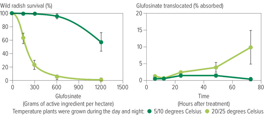 Translocation of glufosinate reduced at cooler temperatures.