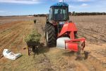 Amendment options to overcome soil constraints in heavy-textured Western Australian soils