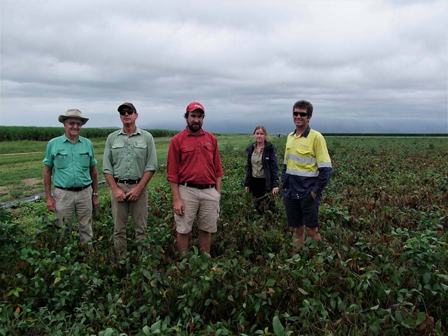 Queensland Department of Agriculture and Fisheries staff travelled to north Queensland to see what was occurring in soybean crops. 