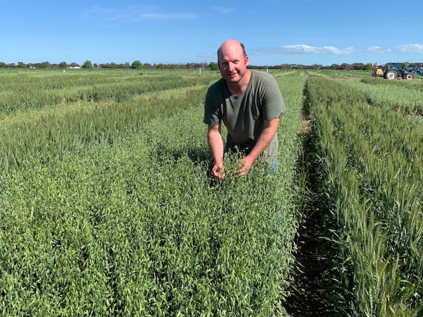 Dr Mark McLean in trial at Longerenong, Victoria.