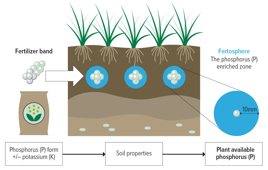 Soil diagram
