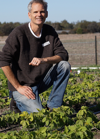 James Nuttall with mungbean plot trials 