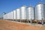 Successful grain storage starts pre-harvest