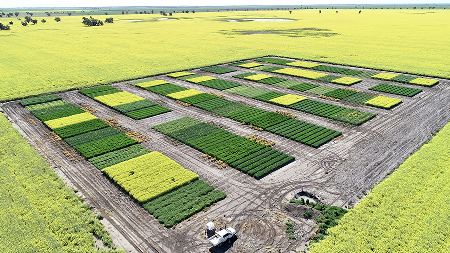 urana farming systems site