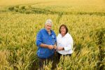 Agronomy eyed in bid for yield lift