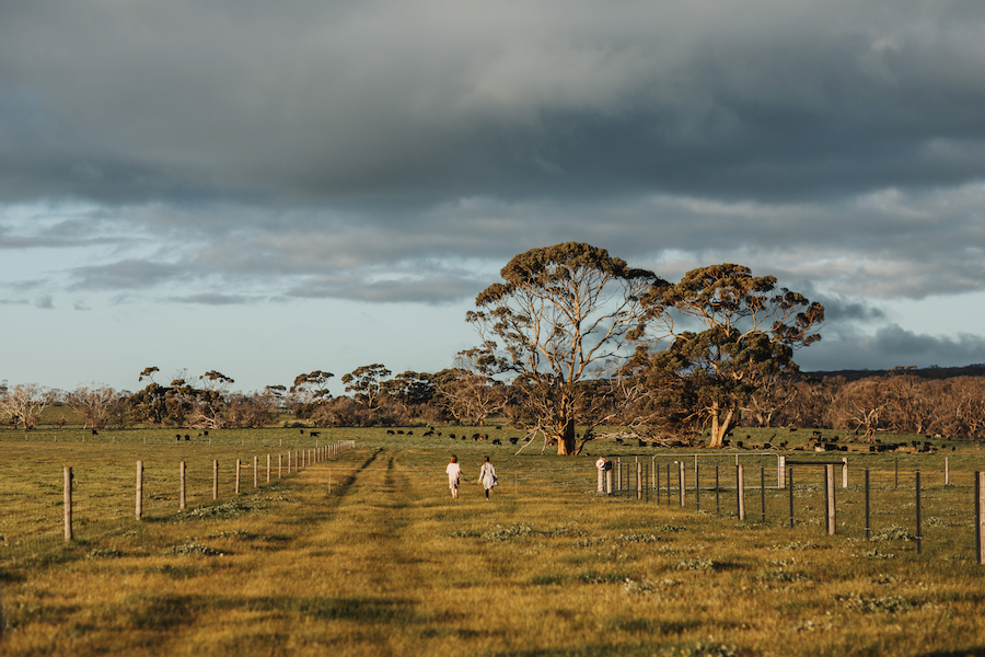 Fencing on the island farm. 