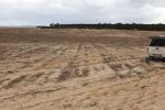 Changing sands mechanically and biologically to support drought resilience
