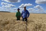 Innovation and improvements the way ahead for growers