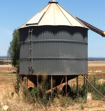 grain silo in a paddock