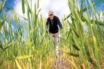 Tool to assist nitrogen decisions tested on the ground