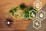 Building the paths for autonomous farming