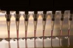 Europe looks to update gene editing regulations