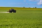 Curbing the rise of fungicide resistance