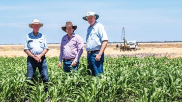 Pros and cons of cropping intensity meet at Goondiwindi