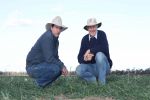 Research assesses soil water strategies during dry conditions across Queensland and NSW
