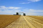 Three-metre centres fast becoming the CTF industry 'norm'