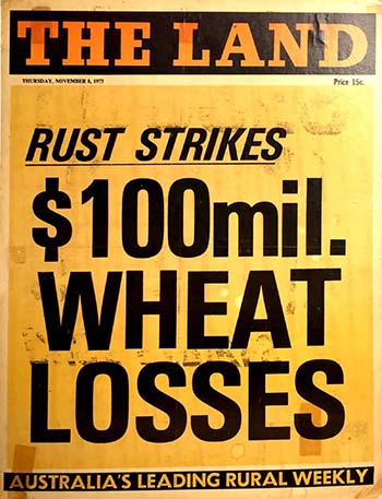 The 1973 stem rust epidemic in south-eastern Australia was caused by rust pathotypes derived from an exotic incursion first detected in 1954. PHOTO University of Sydney