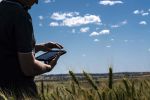 Virtual support on offer for innovative grain growers