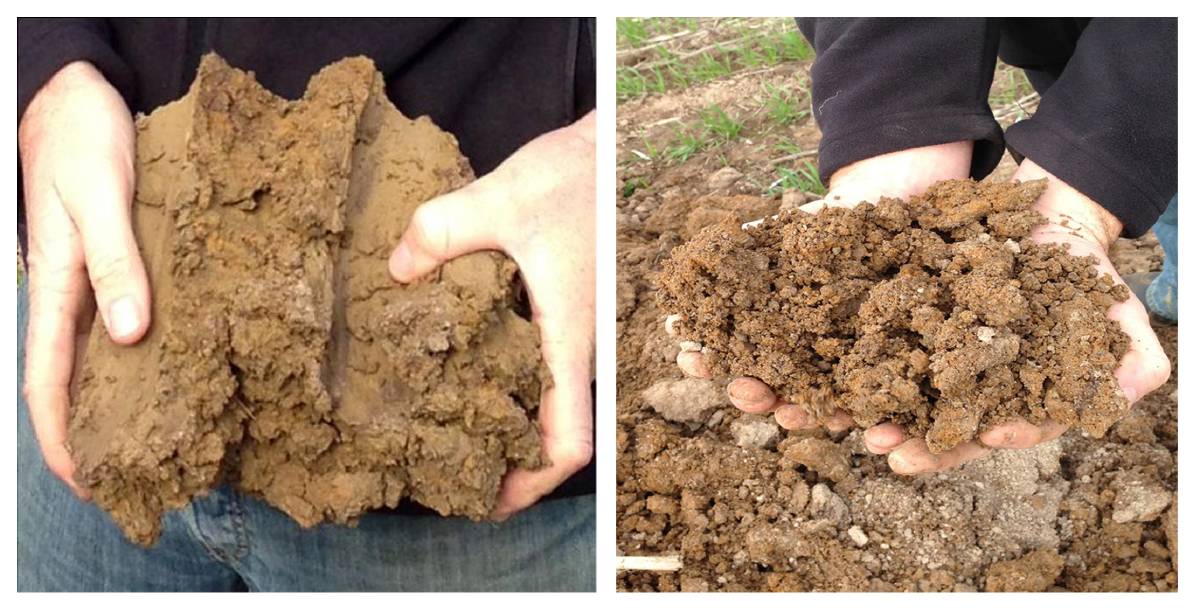 Figure 4: Application of nutrient-enriched organic matter on a soil at Ballan, Victoria (a) before and (b) three years after treatment.