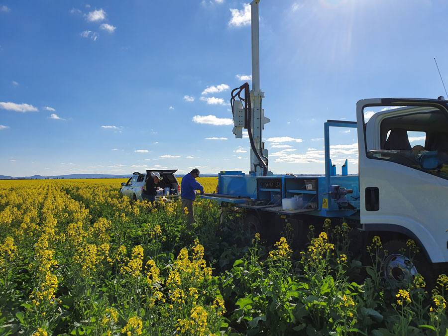 Canola field, researchers testing PAWC