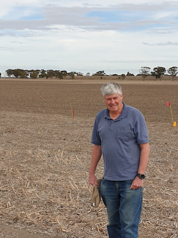 Garry O'Leary at the intercropping trial site in Horsham, Victoria.