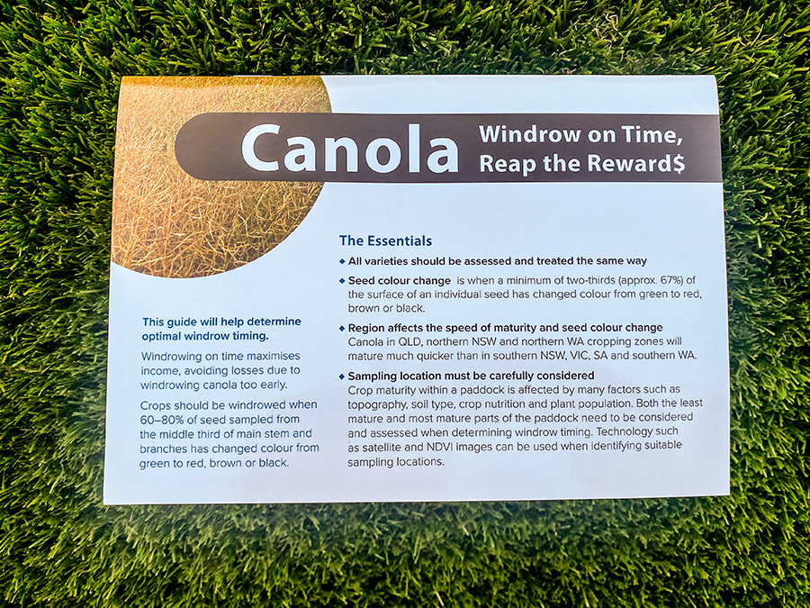 Canola: Windrow on Time, Reap the Reward$