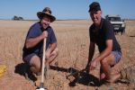 Rules of thumb for optimal cropping paddock management in marginal areas