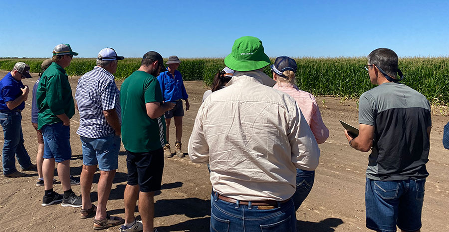 Image of the group of researchers analysing a field of grain.