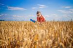 Surveillance – an essential component of grains biosecurity