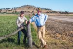 Project to unlock know-how for mungbean success