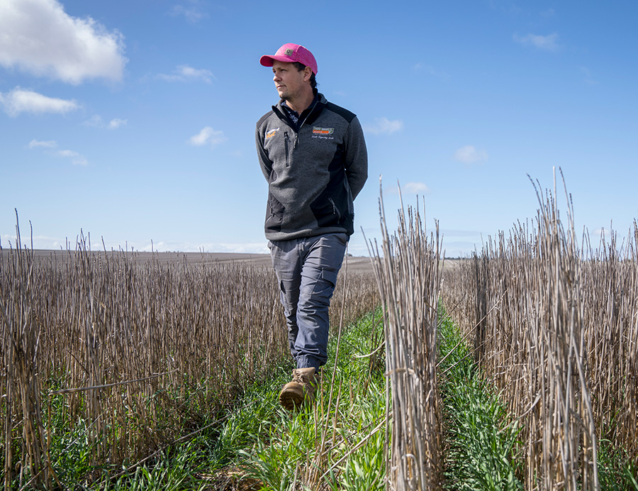 Grower Dylan Hirsch will participate in a panel discussion on precision weed management at the Coorow Grains Research Update on March 13.