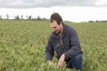 Manning, LongReach Kittyhawk varieties a winner for central-west NSW grower