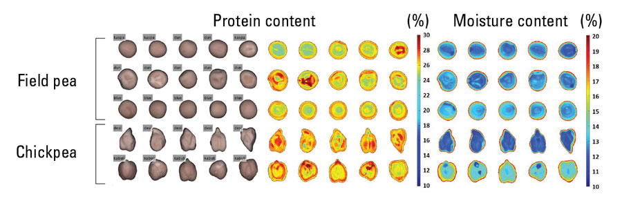 chart of protein and moisture content in grain