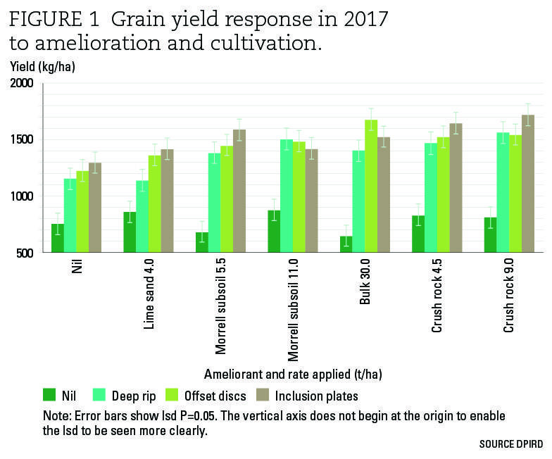 FiFigure 1 Grain yield response in 2017 to amelioration and cultivation.