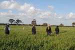 Course to GROW the skills of women in agriculture